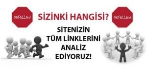 site analiz