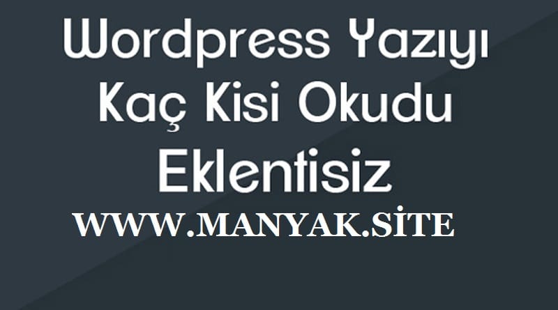 wordpress yazımı kaçkişi okdu