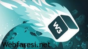 w3 total ile gogole page speed web sitede kullanma