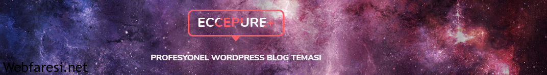 wordpress ücretli blog teması